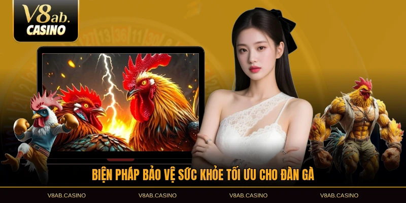 Biện pháp bảo vệ sức khỏe tối ưu cho đàn gà