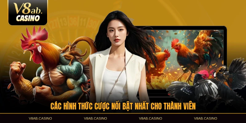 Các hình thức cược nổi bật nhất cho thành viên