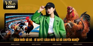 cách nuôi gà đá bí quyết nuôi chuyên nghiệp