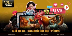 đá gà cựa dao toàn cảnh sân cược trực tuyến 2026