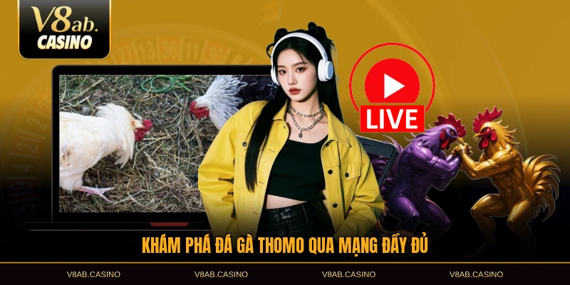 Khám phá đá gà Thomo qua mạng đầy đủ