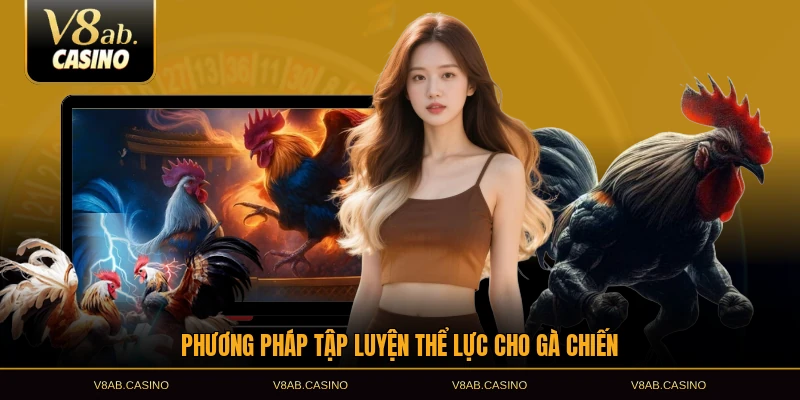 Phương pháp tập luyện thể lực cho gà chiến